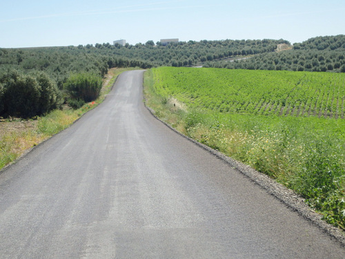 The road to Castro del Rio.